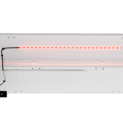 Electric Height Adjustable Desk 160 X 75 CM, White-DUMONT